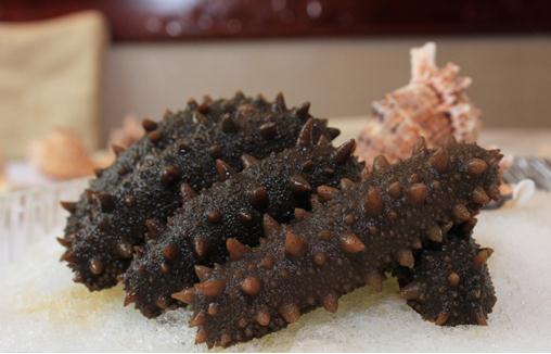 Let's go straight to 315 ∥ to deliver trust and build a better spectrum to help you choose sea cucumbers