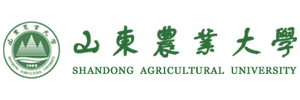 Shandong agricultural university